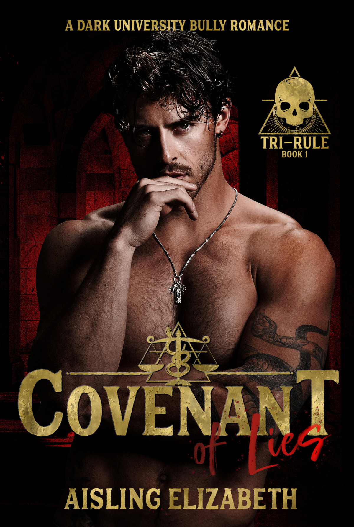 Covenant Of Lies A Dark University Bully Romance Aisling Elizabeth