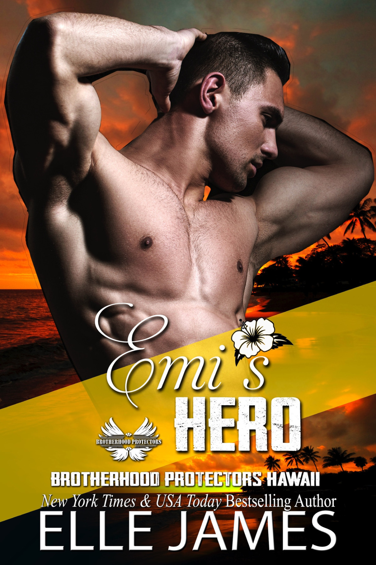 Emis Hero Brotherhood Protectors Hawaii Book 5 Elle James