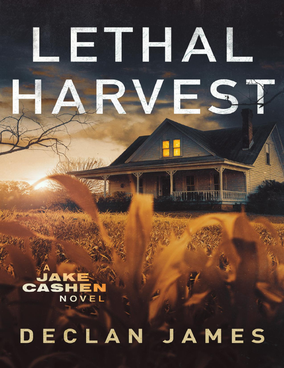 Lethal Harvest Jake Cashen Crime Thriller Series Book 7 Declan James