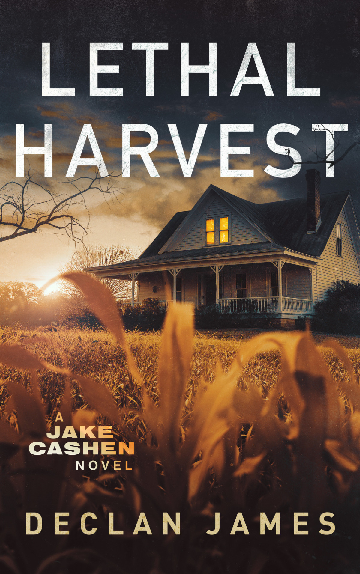 Lethal Harvest Jake Cashen Crime Thriller Series Book 7 Declan James