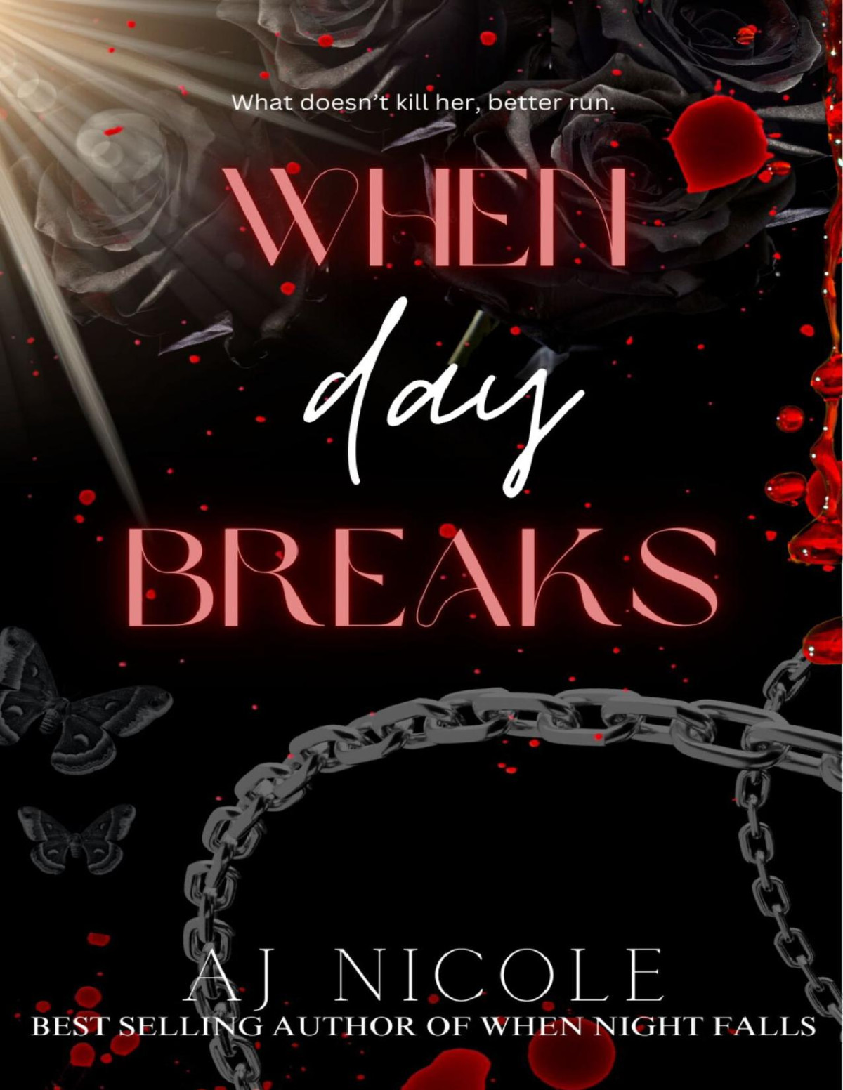 When Day Breaks Aj Nicole