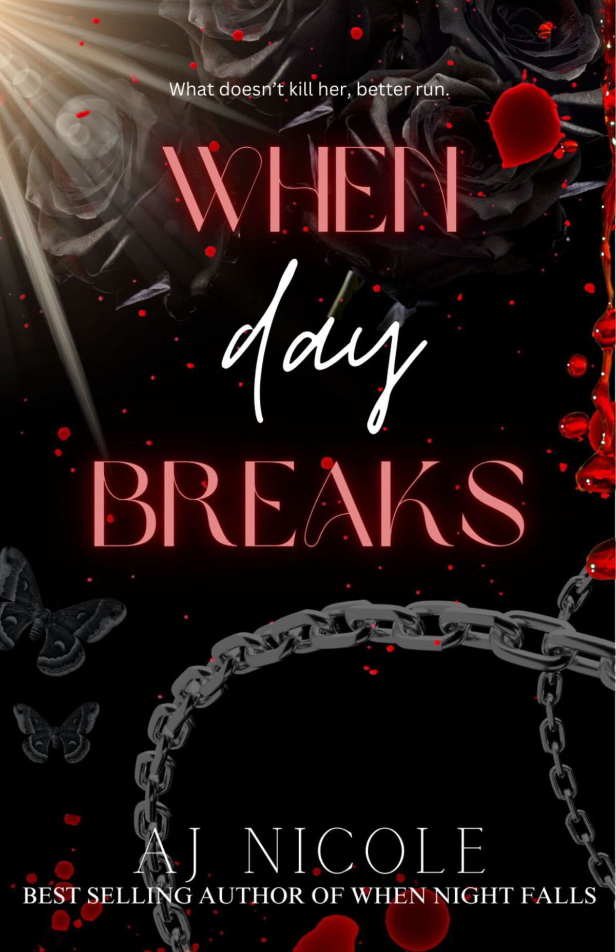 When Day Breaks Aj Nicole