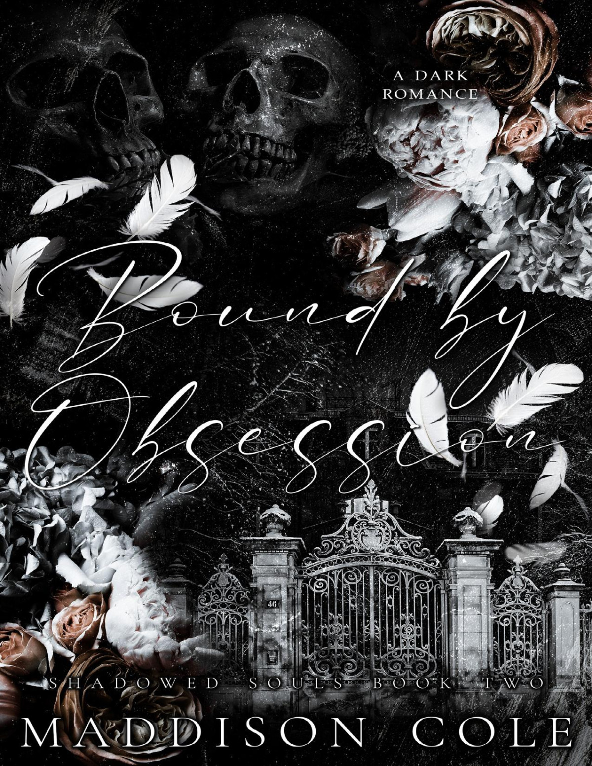 Bound By Obsession Shadowed Souls Book Two Maddison Cole
