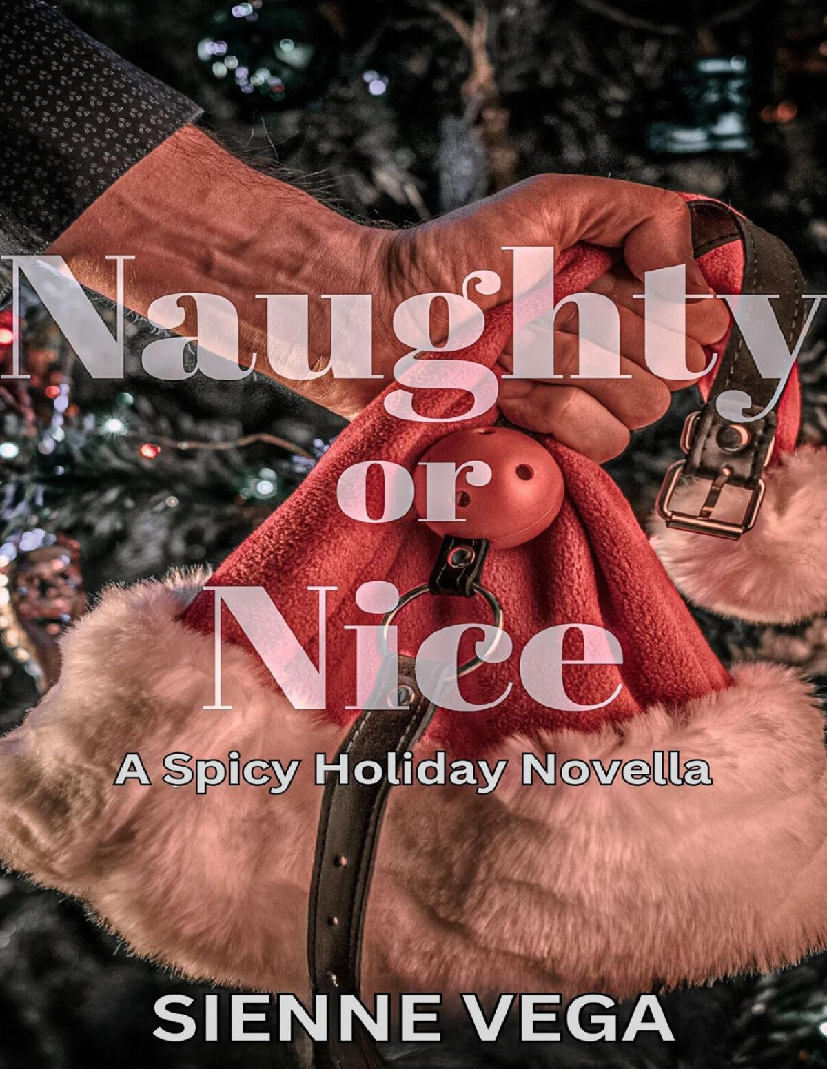 Naughty Or Nice A Very Spicy Holiday Novella Vega Sienne