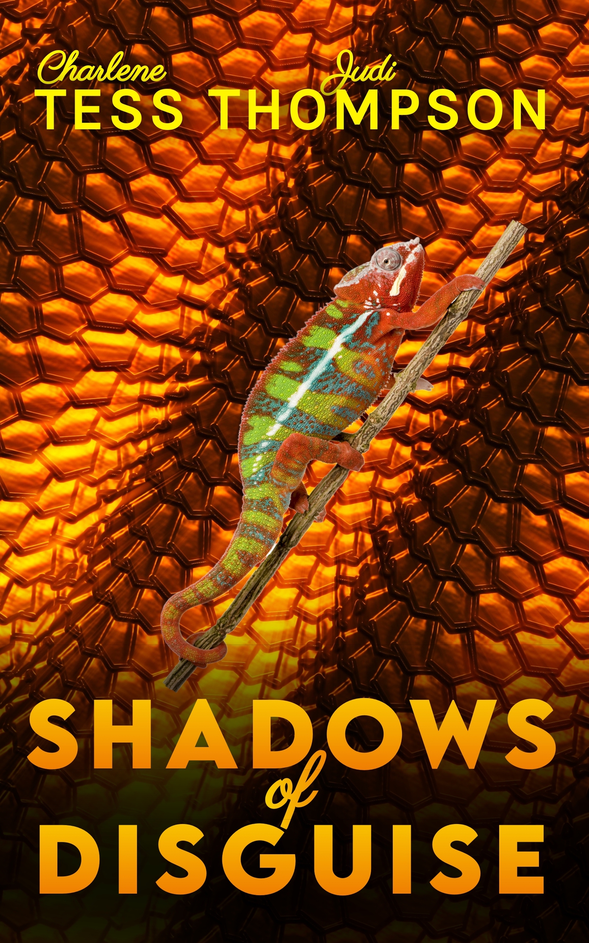 Shadows Of Disguise A Gripping Serial Killer Thriller Charlene Tess Judi Thompson