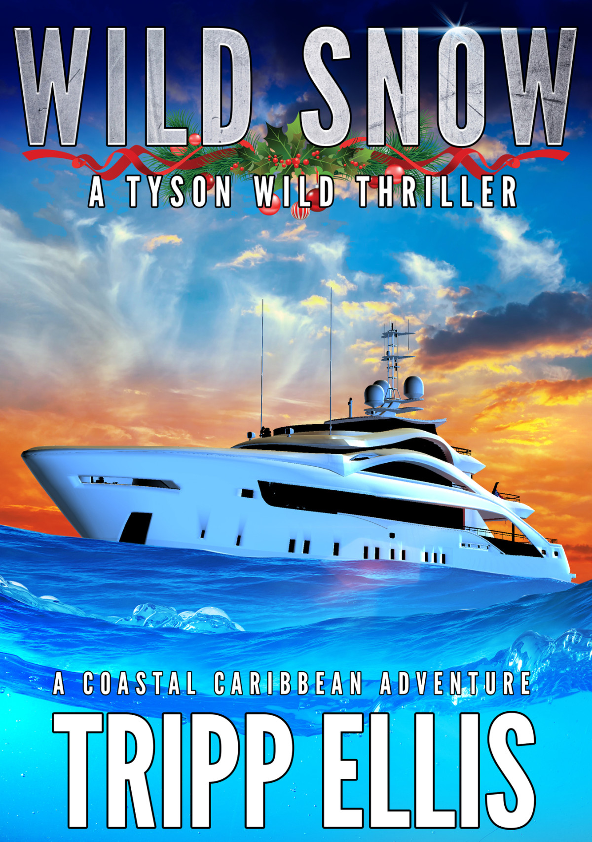 Wild Snow A Coastal Caribbean Adventure Tyson Wild Thriller Book 74 Tripp Ellis