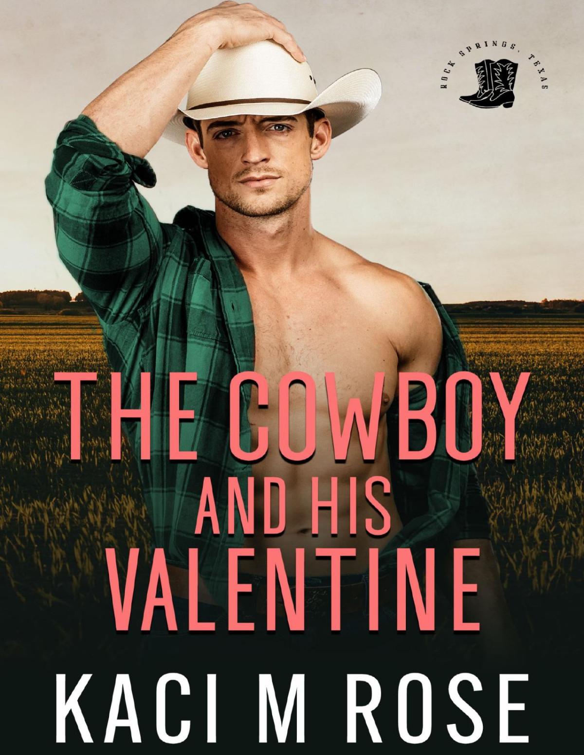 The Cowboy And His Valentine Rose Kaci Rose Kaci M