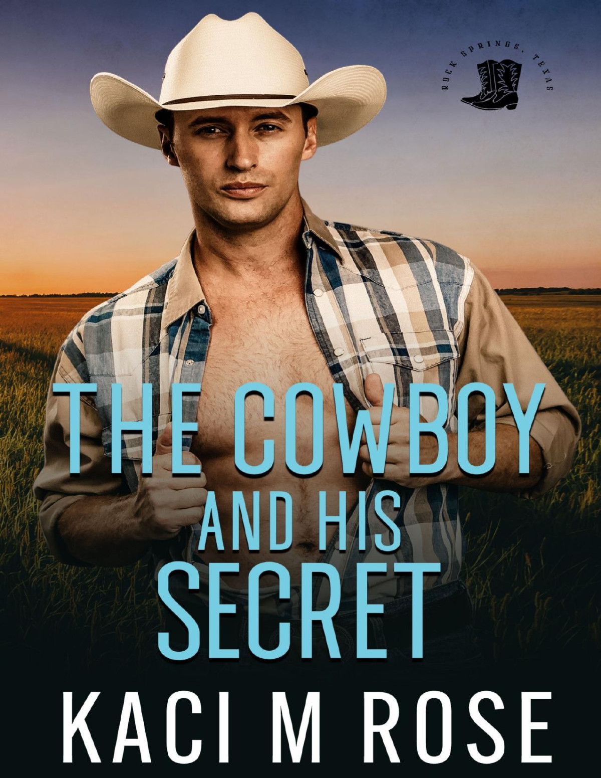The Cowboy And His Secret Rose Kaci Rose Kaci M