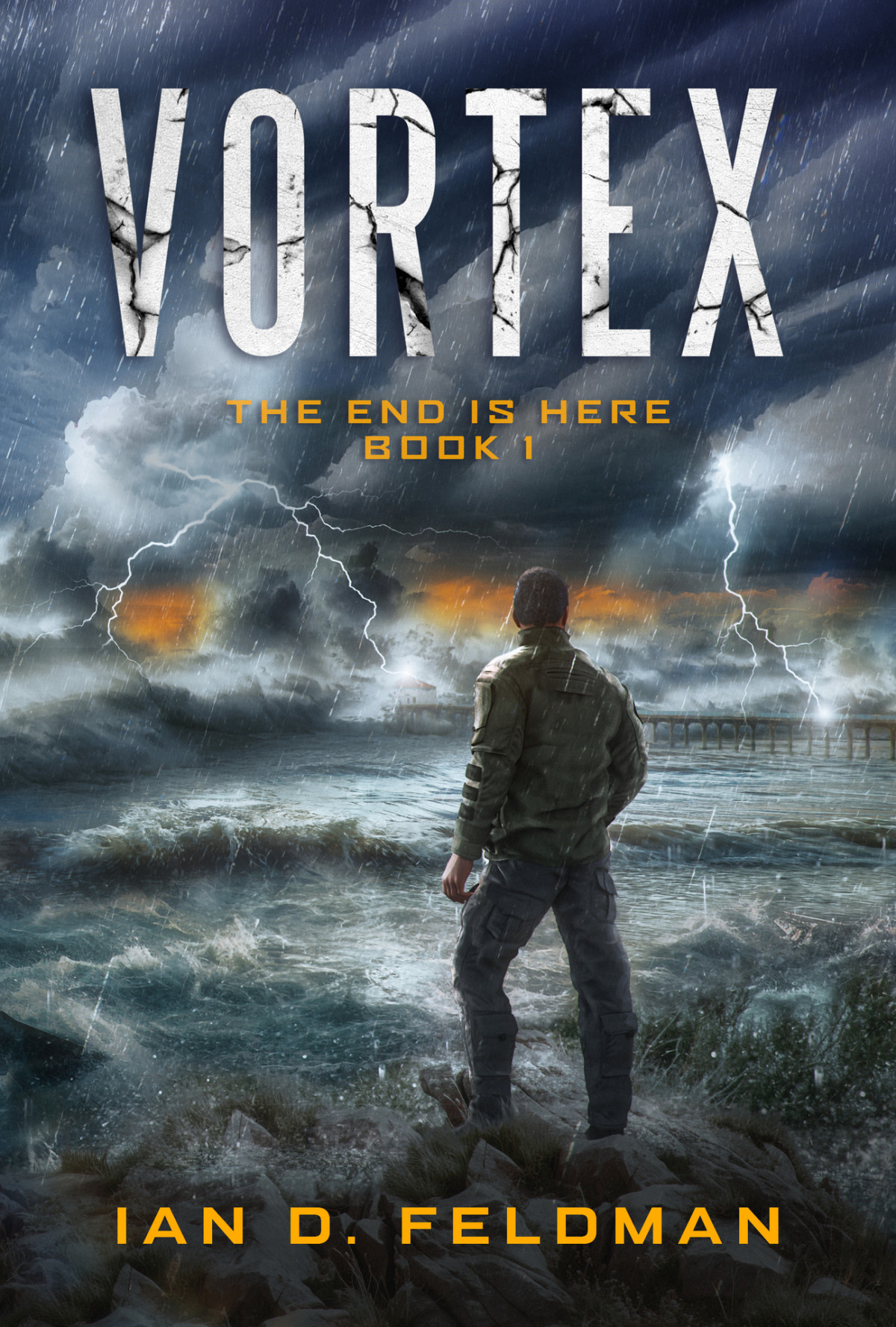 The Vortex An Apocalyptic Thriller The End Is Here Book 1 Feldman