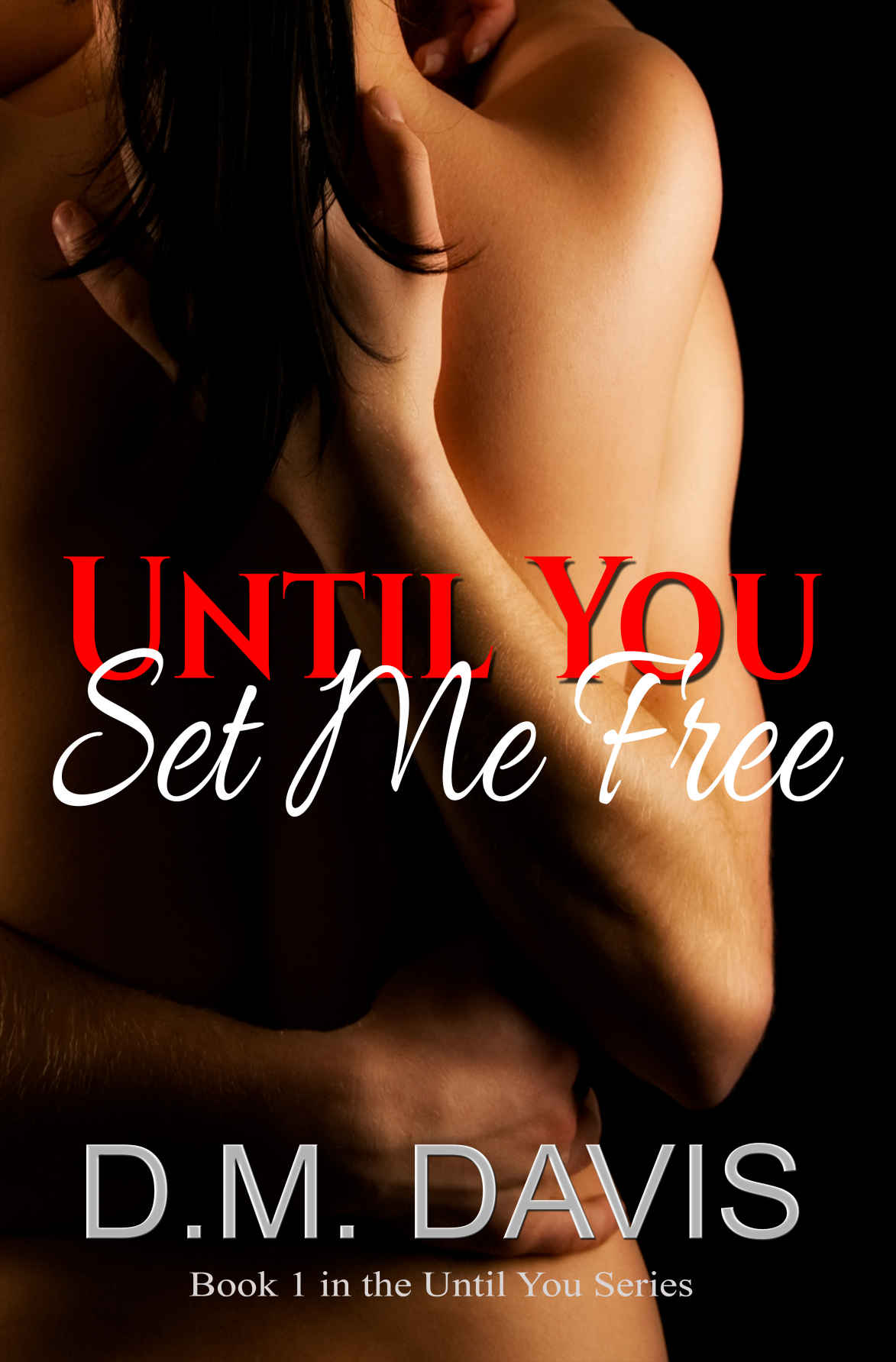 Until You Set Me Free Book 1 In The Until You Series Dm Davis Davis