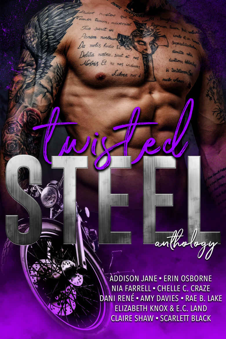 Twisted Steel An Mc Anthology Elizabeth Knox Addison Jane Erin Osborne Chelle C Craze Dani Ren Amy Davies Ec Land Claire Shaw Knox