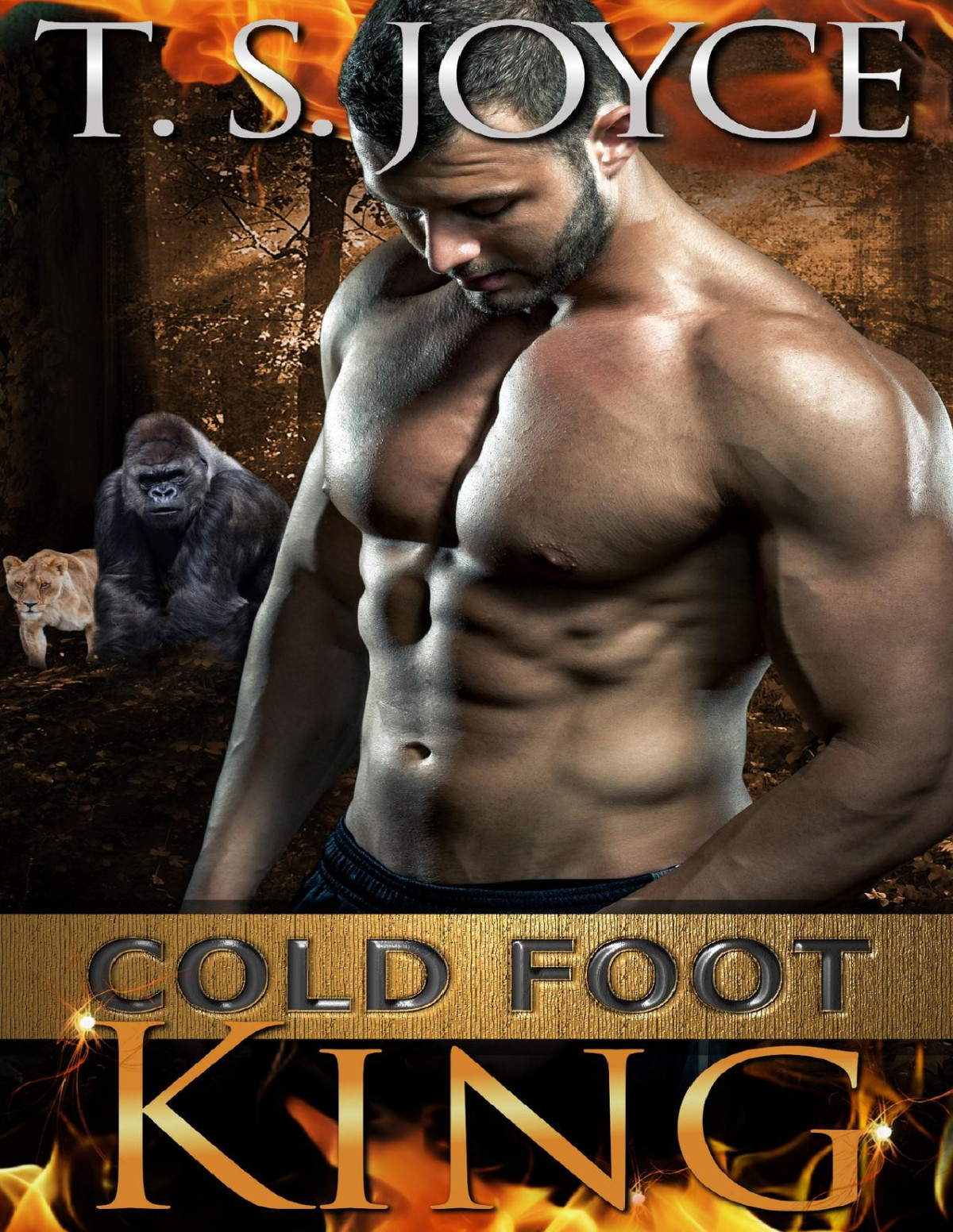 Cold Foot King Wrecks Mountains Book 1 T S Joyce