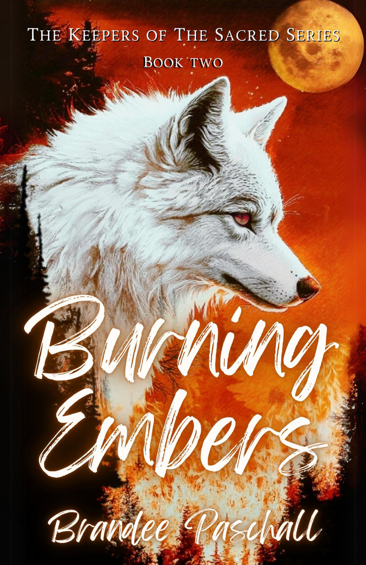 Burning Embers The Keepers Of The Sacred 2 1st Edition Brandee Paschall