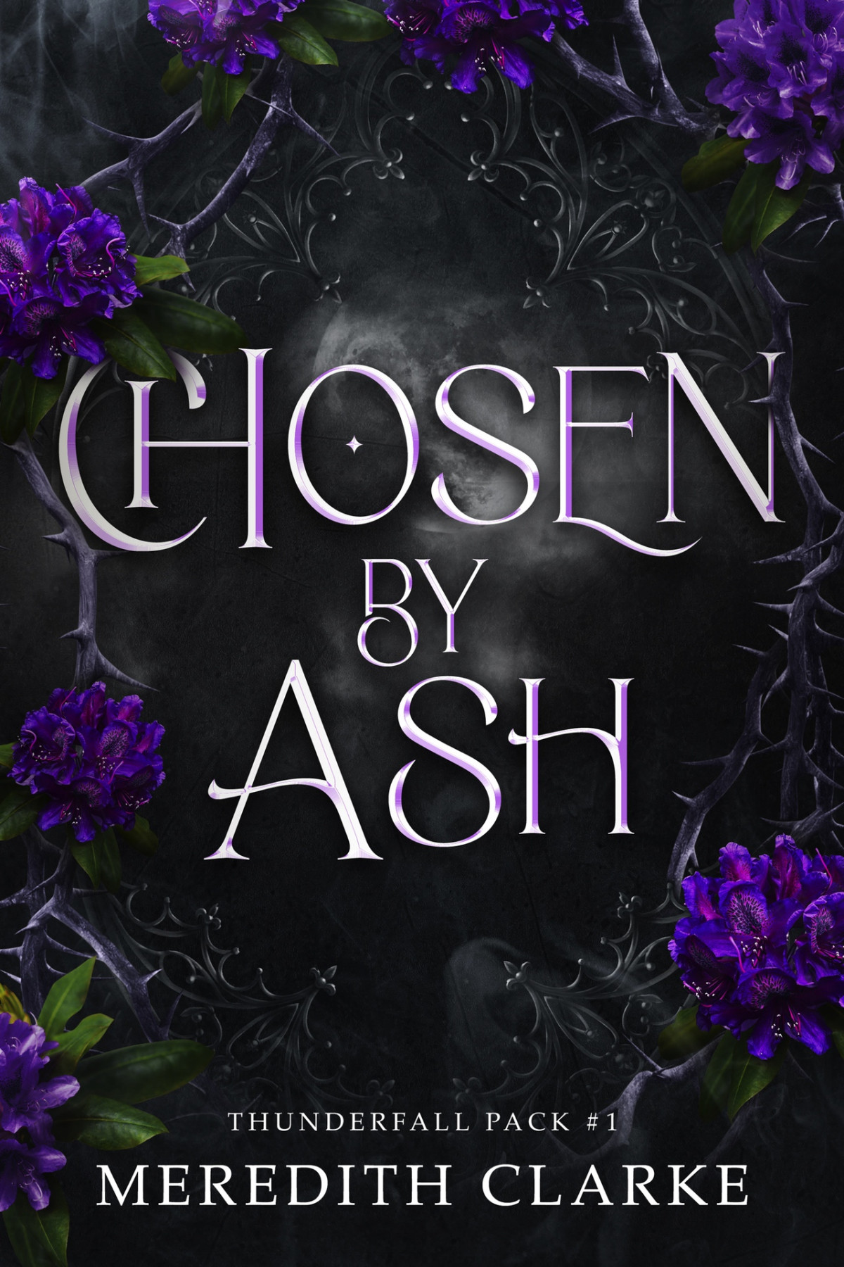 Chosen By Ash 1st Edition Meredith Clarke
