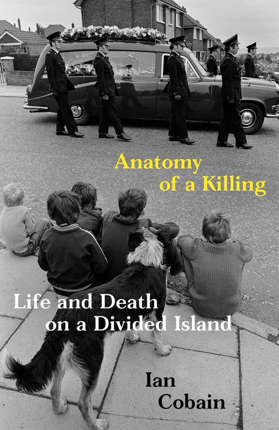 Anatomy Of A Killing Life And Death On A Divided Island Ian Cobain