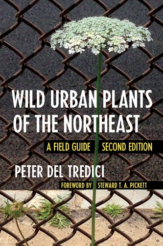 Wild Urban Plants Of The Northeast A Field Guide 2nd Edition Peter Del Tredici