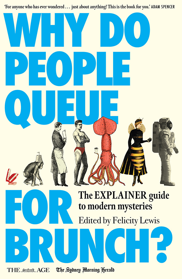 Why Do People Queue For Brunch Felicity Lewis