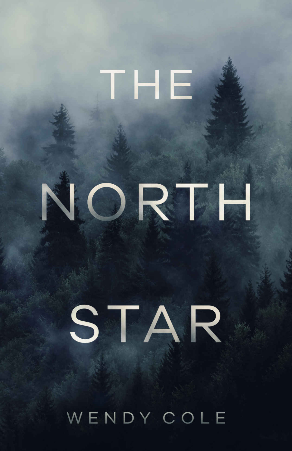 The North Star Wendy Cole Cole Wendy