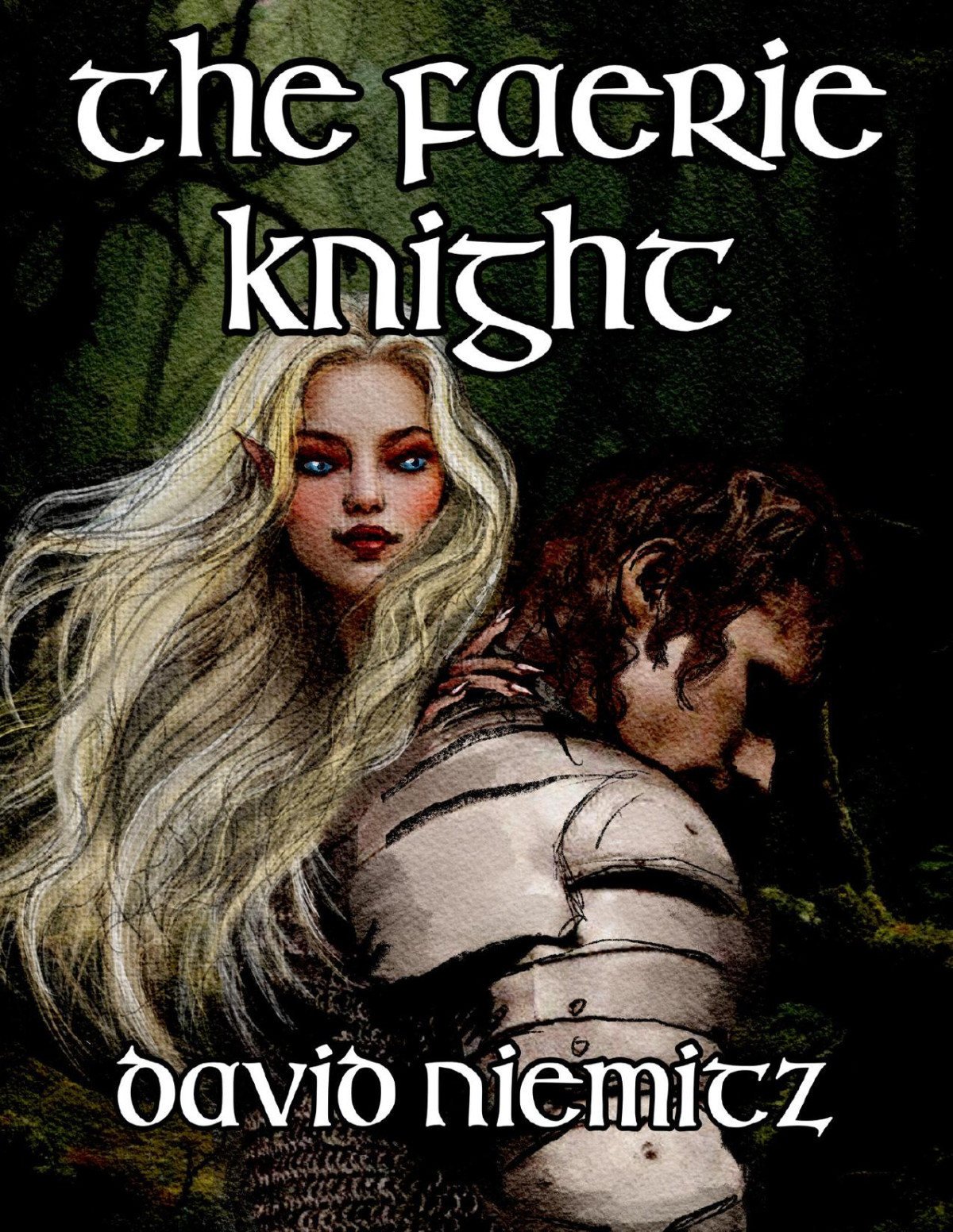The Faerie Knight David Niemitz
