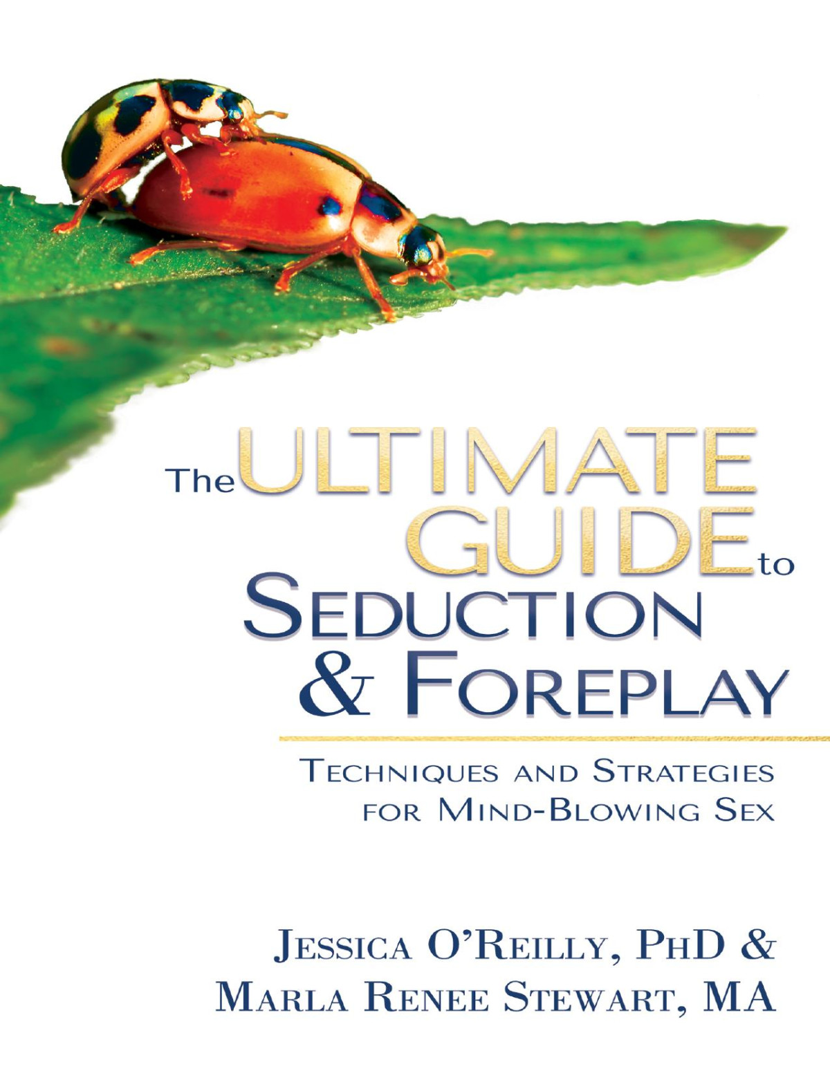 The Ultimate Guide To Seduction Foreplay Jessica Oreilly