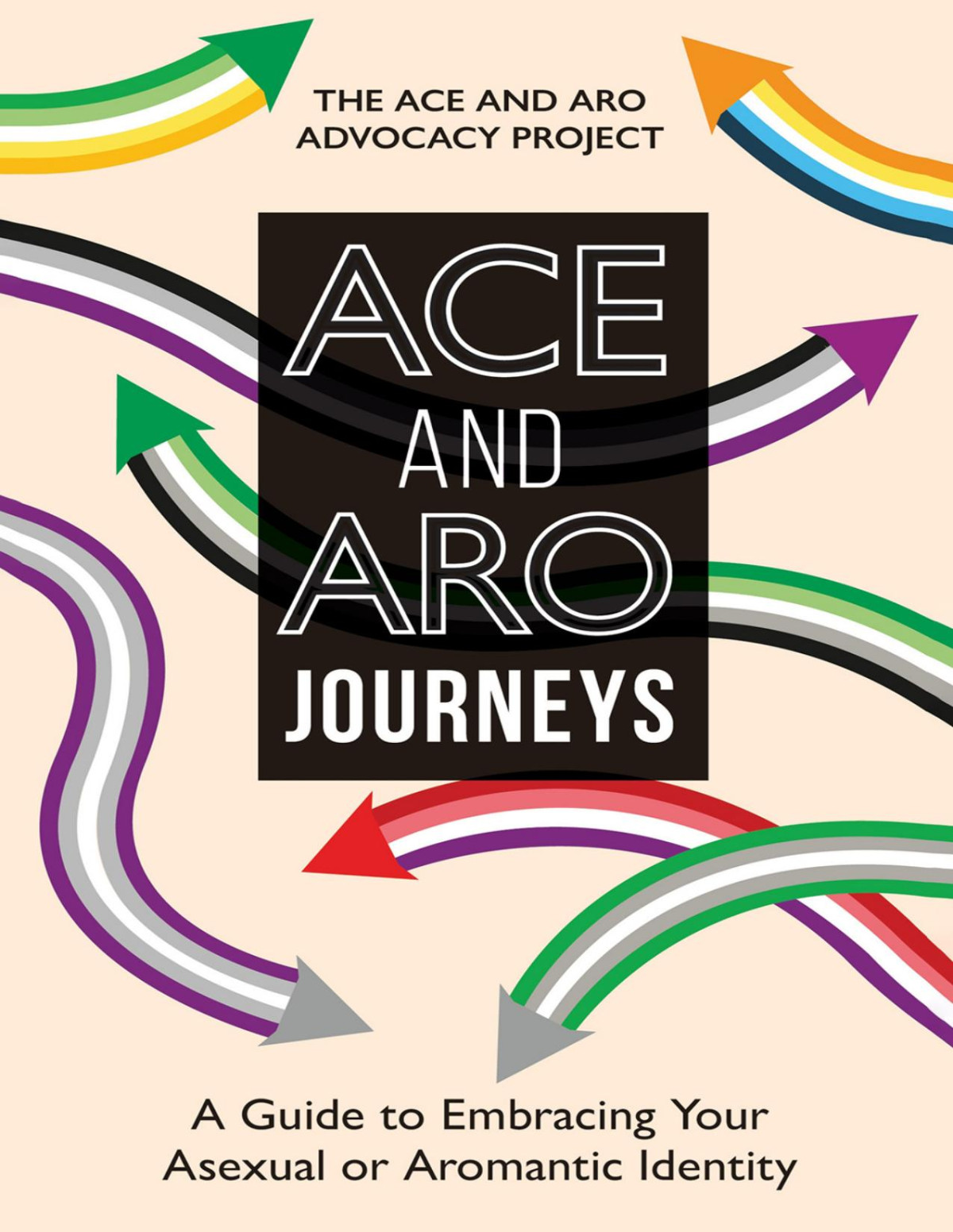 Ace And Aro Journeys The Ace Aro Advocacy Project