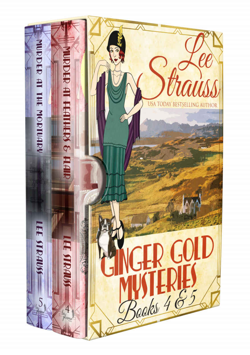 Ginger Gold Mysteries Books 4 5 Kindle Lee Strauss