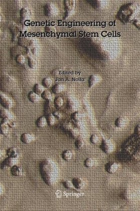 Genetic Engineering Of Mesenchymal Stem Cells 1st Edition Jan A Nolta