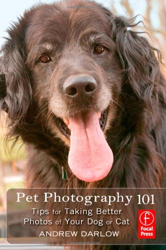 Pet Photography 101 Tips For Taking Better Photos Of Your Dog Or Cat Andrew Darlow