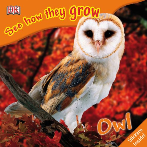 Owl Dk Publishing