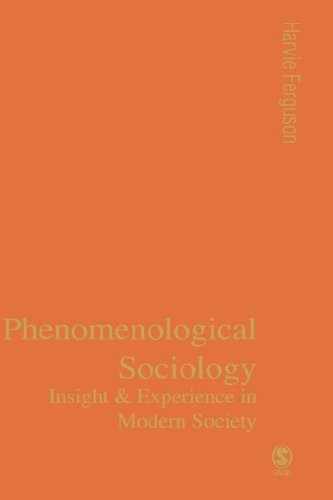 Phenomenological Sociology Experience And Insight In Modern Society Professor Harvie Ferguson