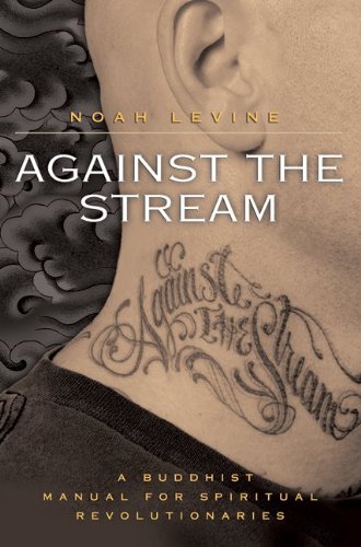 Against The Stream A Buddhist Manual For Spiritual Revolutionaries Noah Levine