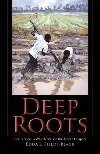Deep Roots Rice Farmers In West Africa And The African Diaspora Edda L Fieldsblack