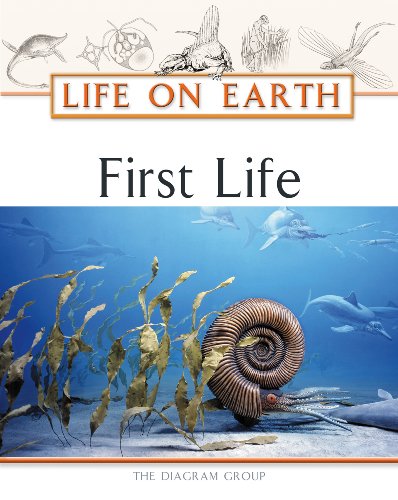 First Life Diagram Group