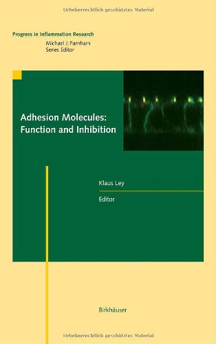 Adhesion Molecules Function And Inhibition 1st Edition Klaus Ley