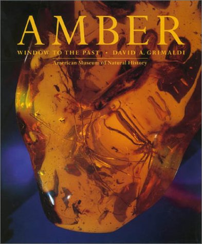 Amber Window To The Past David A Grimaldi