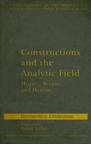 Constructions And The Analytic Field History Scenes And Destiny 1st Edition Domenico Chianese