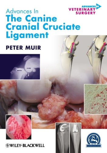 Advances In The Canine Cranial Cruciate Ligament 1st Edition Peter Muir