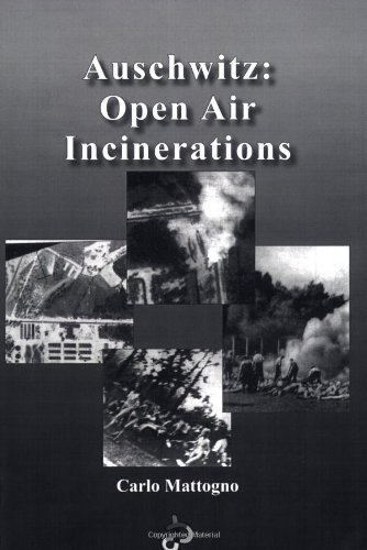 Auschwitz Open Air Incinerations Carlo Mattogno