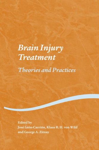 Brain Injury Treatment Theories And Practices 1st Edition Jose Leoncarrion