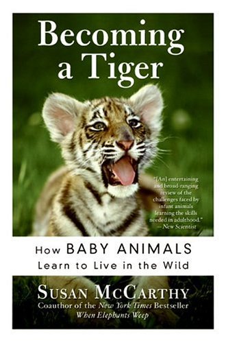 Becoming A Tiger How Baby Animals Learn To Live In The Wild Susan Mccarthy