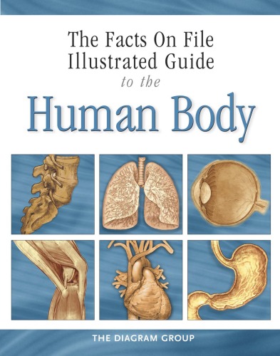 The Facts On File Illustrated Guide To The Human Body Brain And Nervous System Diagram Group