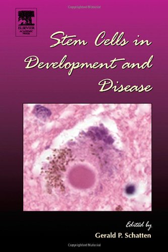 Stem Cells In Development And Disease 1st Edition Gerald P Schatten Eds