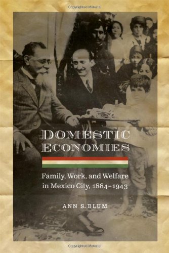 Domestic Economies Family Work And Welfare In Mexico City 18841943 Ann S Blum