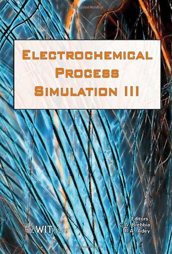 Electrochemical Process Simulation Iii 1st Edition C A Brebbia