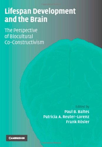Lifespan Development And The Brain The Perspective Of Biocultural Coconstructivism 1st Edition Paul B Baltes