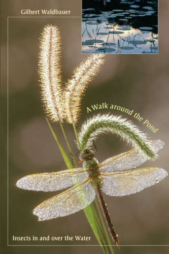 A Walk Around The Pond Insects In And Over The Water Gilbert Waldbauer