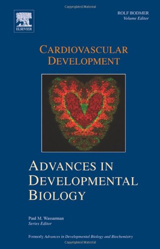 Cardiovascular Development 1st Edition Rolf Bodmer Eds