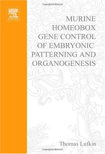Murine Homeobox Gene Control Of Embryonic Patterning And Organogenesis 1st Edition T Lufkin Eds