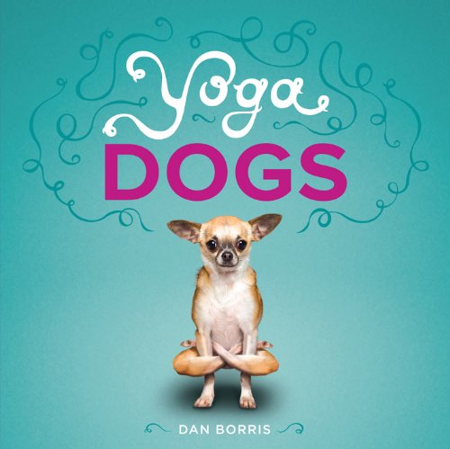 Yoga Dogs Dan Borris