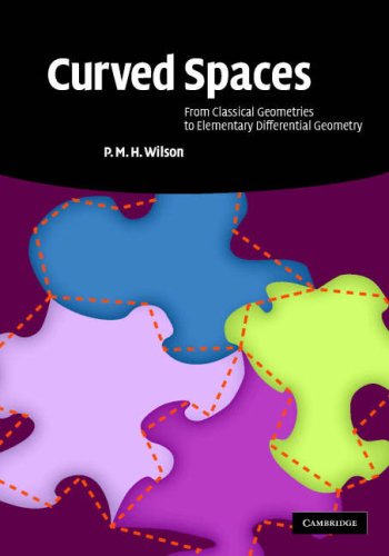 Curved Spaces From Classical Geometries To Elementary Differential Geometry 1st Edition P M H Wilson